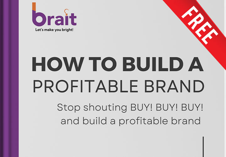 Build A Profitable Brand E-Book